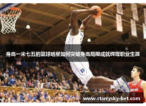 身高一米七五的篮球明星如何突破身高局限成就辉煌职业生涯