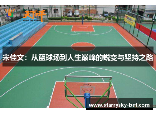 宋佳文：从篮球场到人生巅峰的蜕变与坚持之路