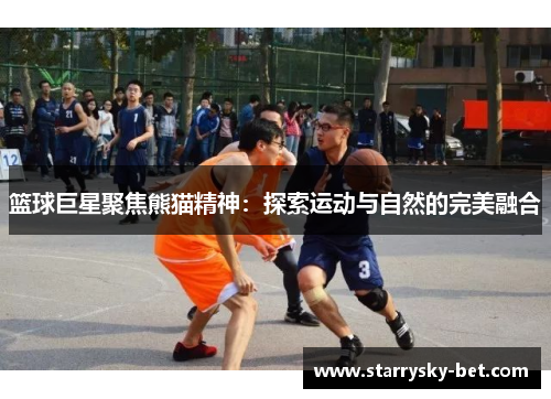 篮球巨星聚焦熊猫精神：探索运动与自然的完美融合